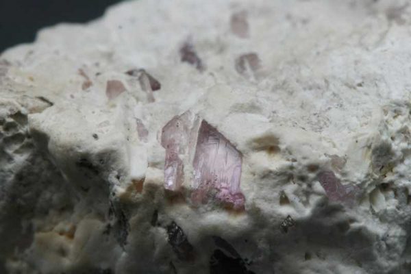 Diaspor, dillnit – Bild 7