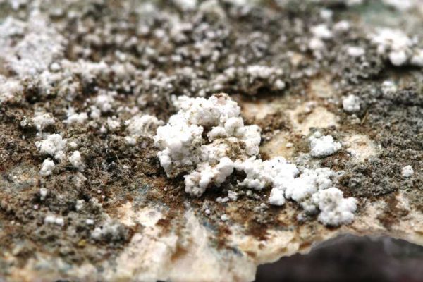 Sainfeldit, pikrofarmakolit – Bild 8