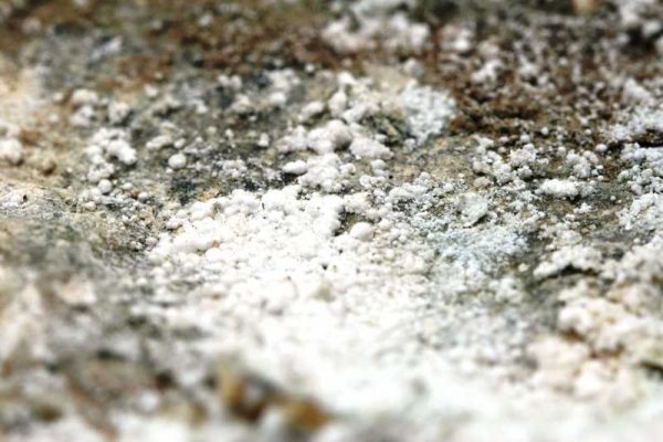 Sainfeldit, pikrofarmakolit – Bild 9