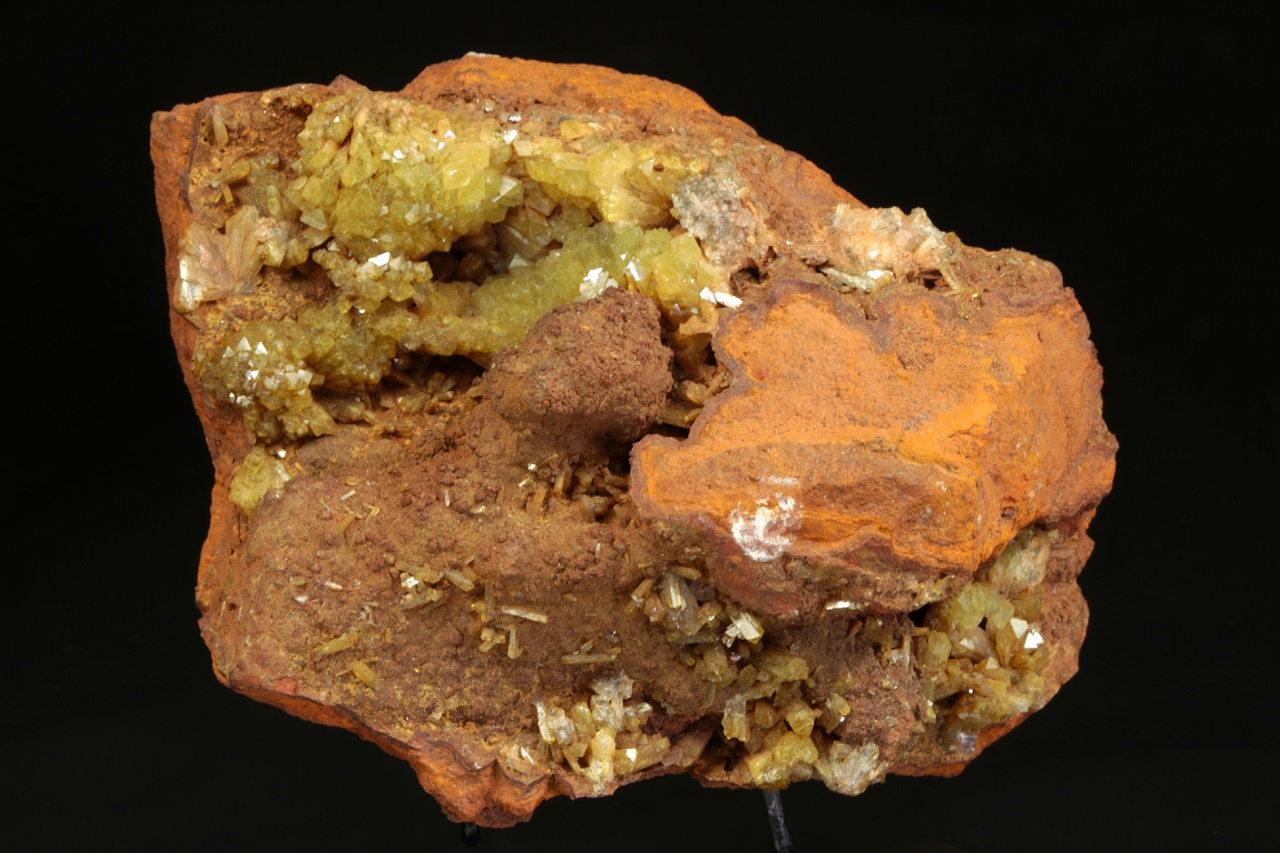 Adamin - Obrázek 3