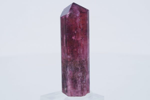 Elbait - Image 6