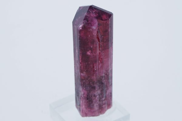 Elbait - Image 7