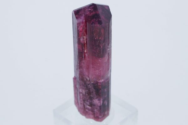 Elbait - Image 8