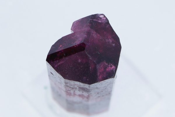 Elbait - Image 11