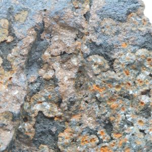 Dufrenite