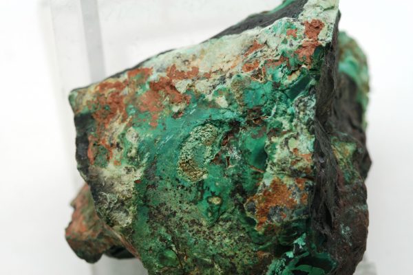 Kuprit, Malachit – Bild 3