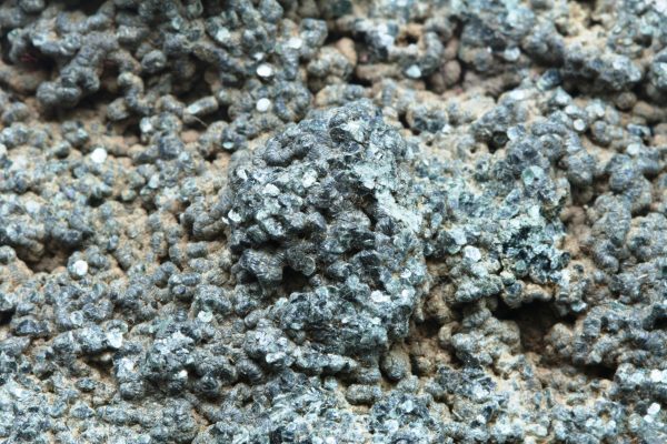 Ilvaite, chlorite - Image 8