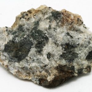 Steenstrupin