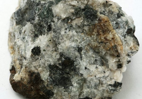 Steenstrupin - Image 4