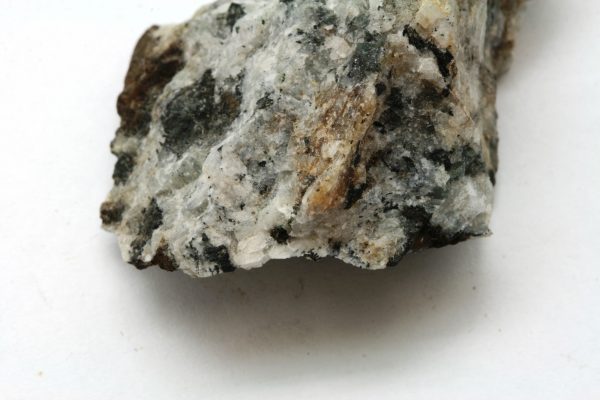 Steenstrupin – Bild 5