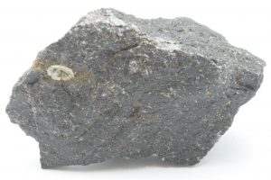 Tschernichit
