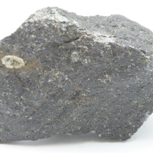 Tschernichit
