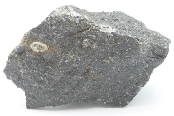 Tschernichit