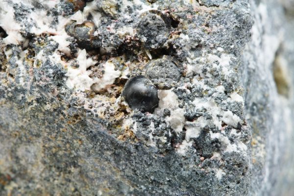 Eulytin – Bild 7