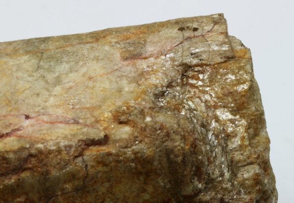 Beryl - Image 6
