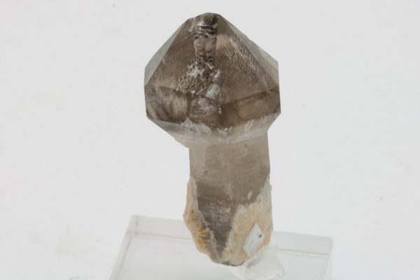Záhněda