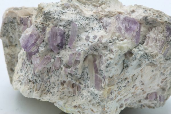 Diaspor – Bild 9