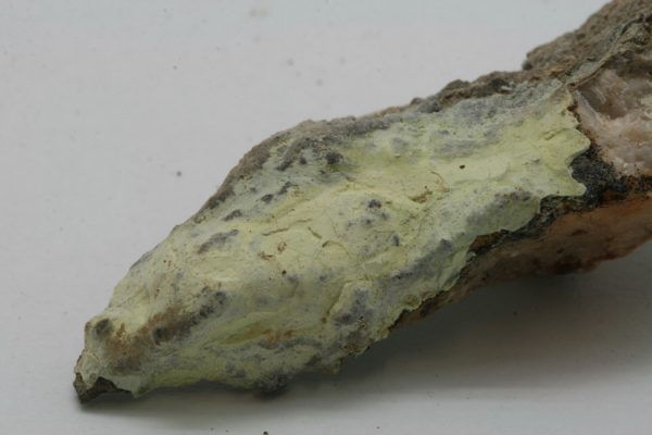 Znucalit – Bild 5