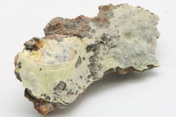 Znucalit – Bild 2