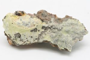 Znucalit