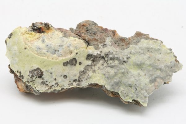 Znucalit