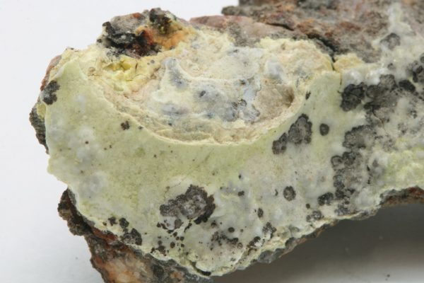 Znucalit – Bild 5