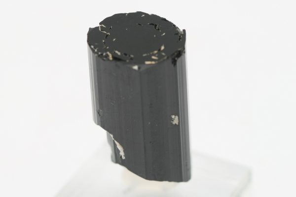 Skoryl - Image 5
