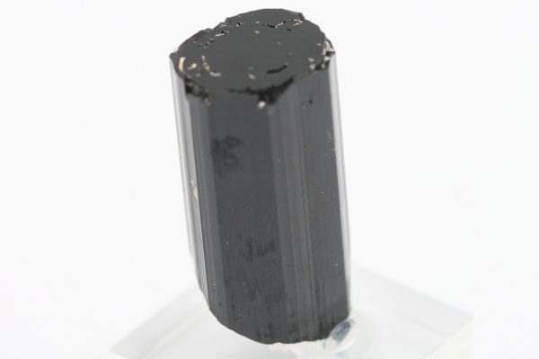 Skoryl - Image 6
