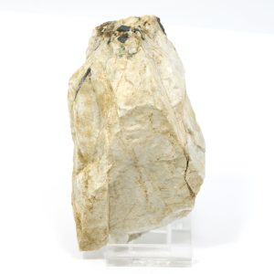 Oyamalite, Nb-rutile