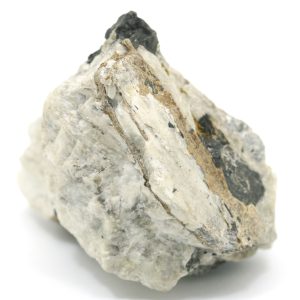Catapleiit