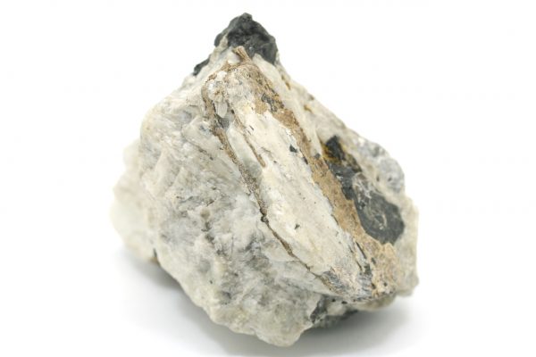 Catapleiit