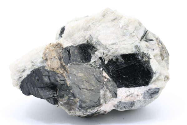 Catapleiit - Image 8
