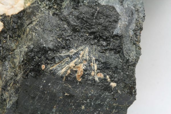 Písekite, monazite - Image 7