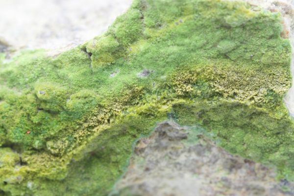 Pyromorfit – Bild 8