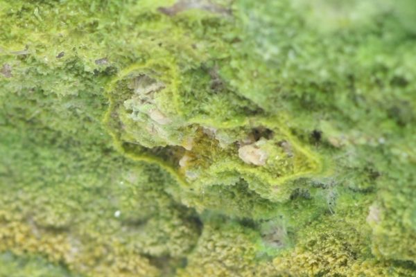 Pyromorfit – Bild 9
