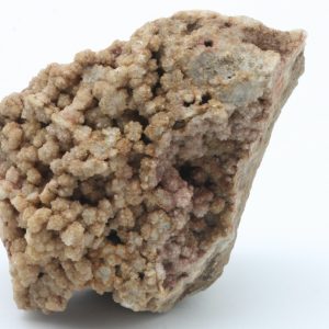Sternquarz