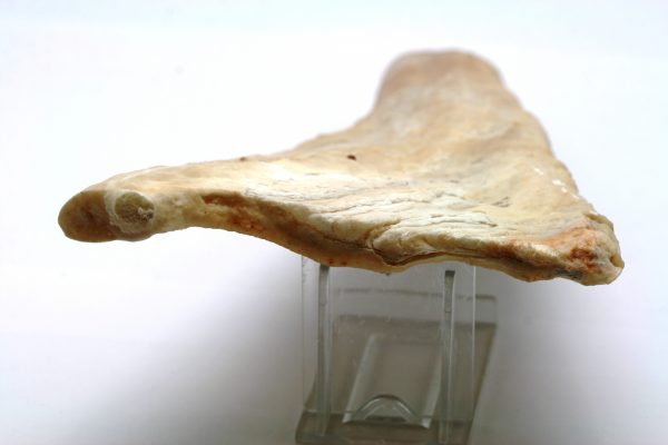 Aragonite - Image 4