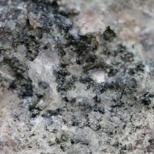 Cechite
