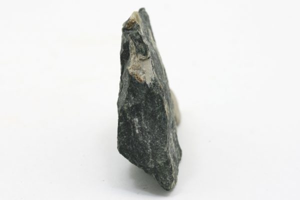 Epistolit - Image 3