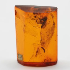 Amber