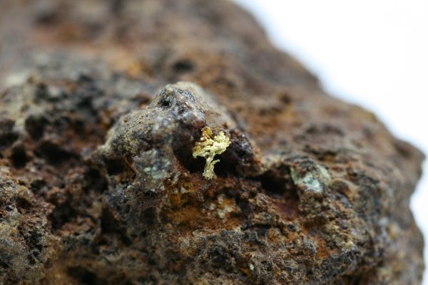 Gold - Image 6