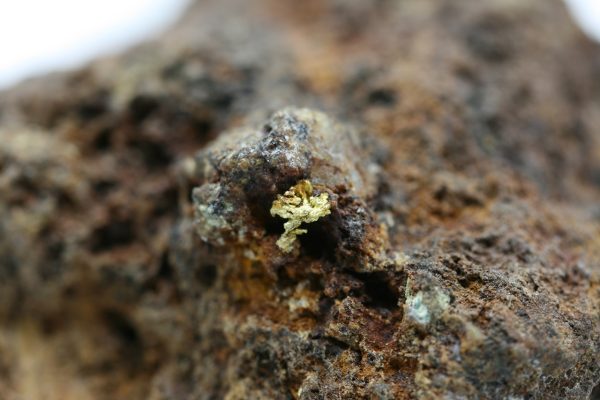 Gold - Image 7