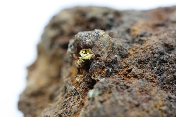 Gold - Image 8