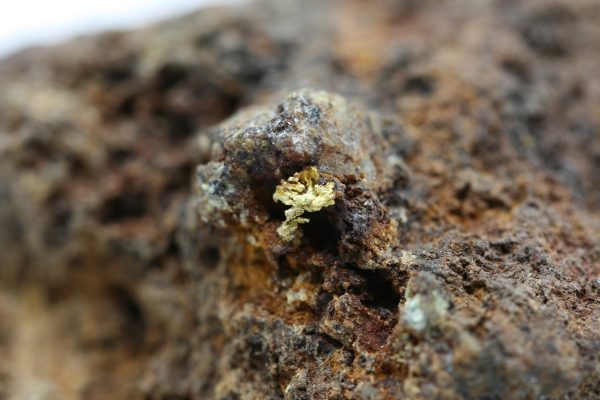 Gold - Image 9