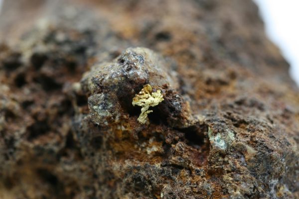 Gold - Image 10