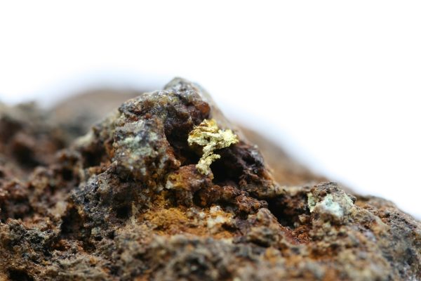 Gold - Image 11