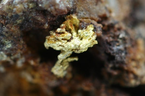Gold - Image 12