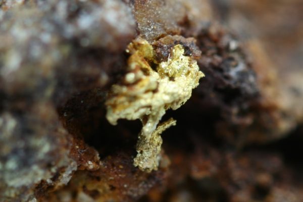 Gold - Image 13