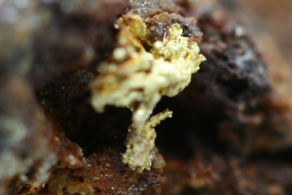 Gold - Image 14