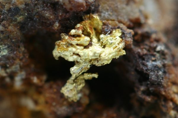 Gold